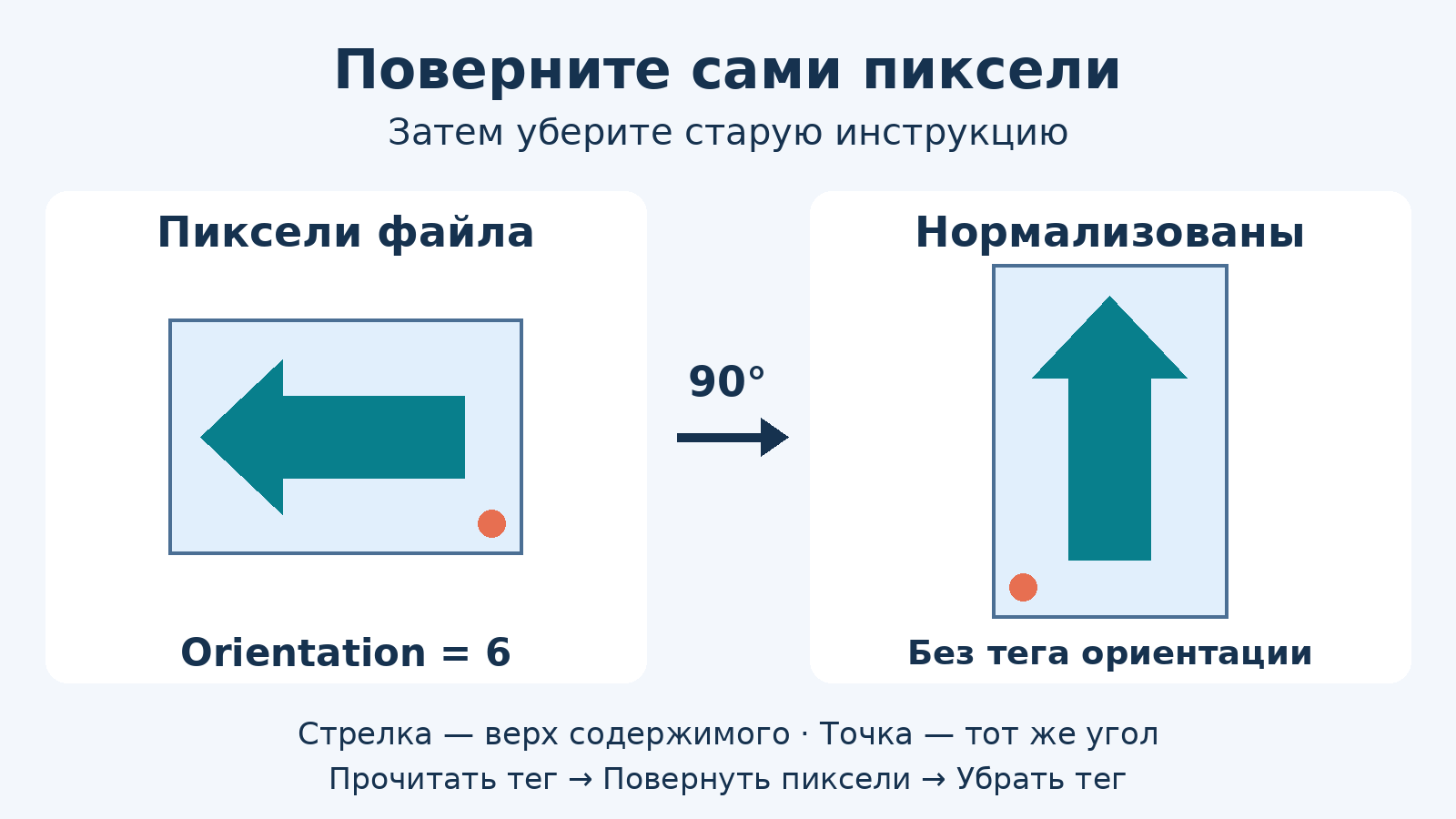 В горизонтальном массиве пикселей стрелка верха смотрит влево, Orientation равно 6. Четверть оборота по часовой стрелке делает рамку вертикальной и направляет стрелку вверх; тег ориентации удаляется.